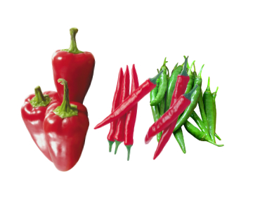 Red/Green Chilli pepper & Hot pepper