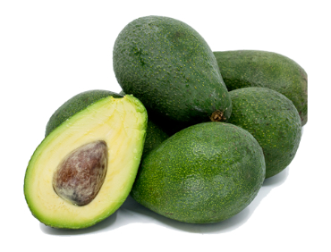 Fuerte Avocado