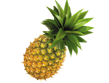 Pineapple